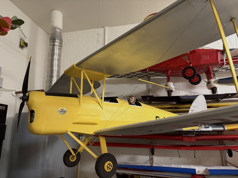 Tiger Moth.jpg